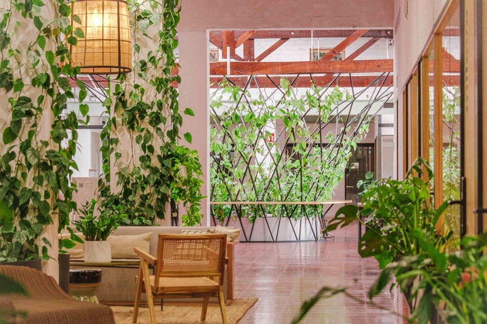 Espace de coworking Manglar à Barcelona