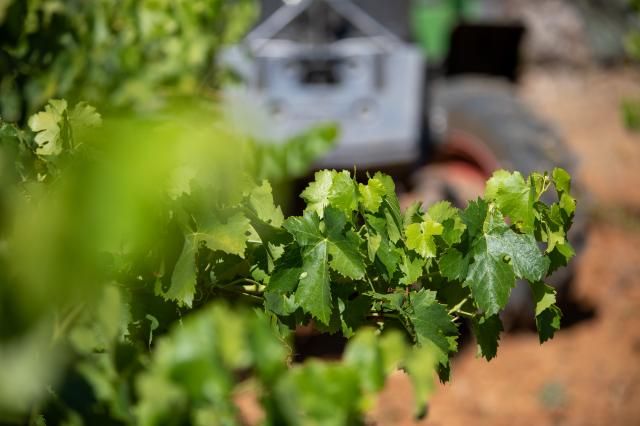 Espace de coworking Les Parcelles à Bordeaux - photo 2