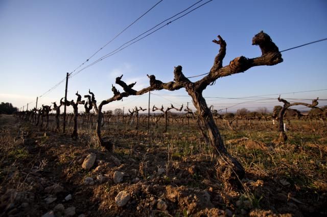 Espace de coworking Les Parcelles à Bordeaux - photo 3