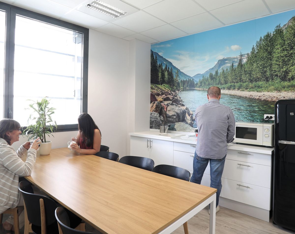 Espace de coworking Centre d'Affaires DMCI à Lyon - photo 2