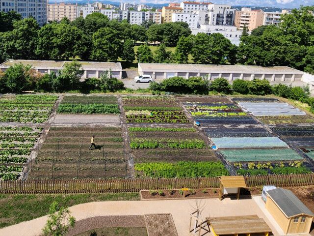 Espace de coworking Farm à Lyon - photo 2