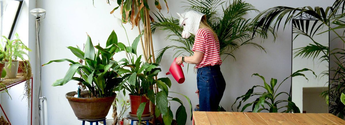 Espace de coworking Espacio Ucrania à Madrid - photo 2