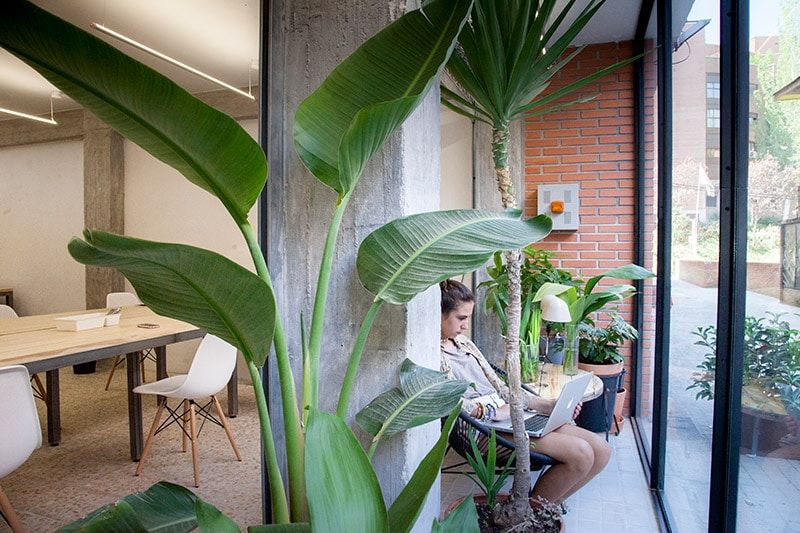 Espace de coworking La Parra Coworking à Madrid