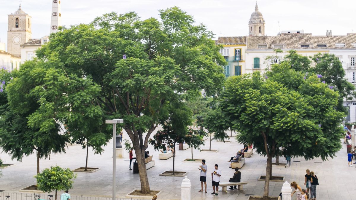 Espace de coworking Gotelé Estudio à Málaga