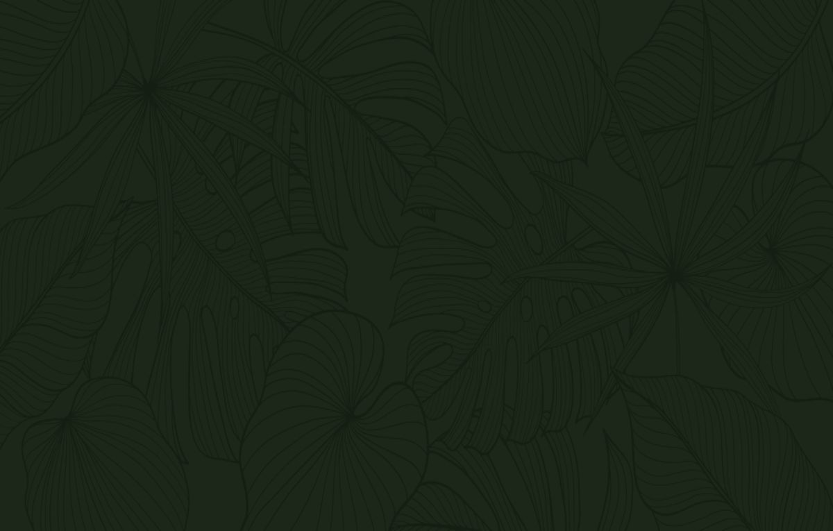 Espace de coworking Canopée à Paris