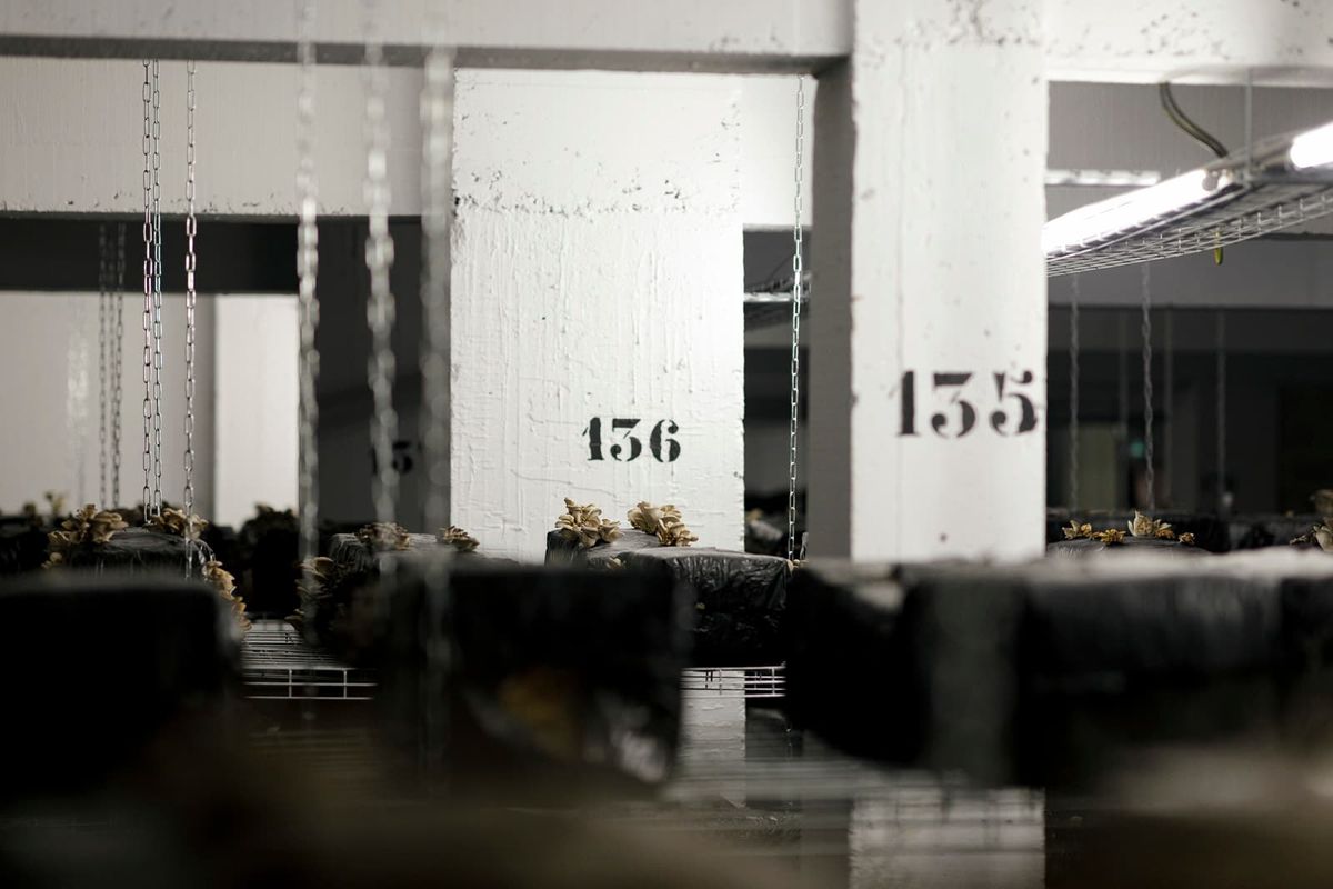 Espace de coworking Farm à Paris