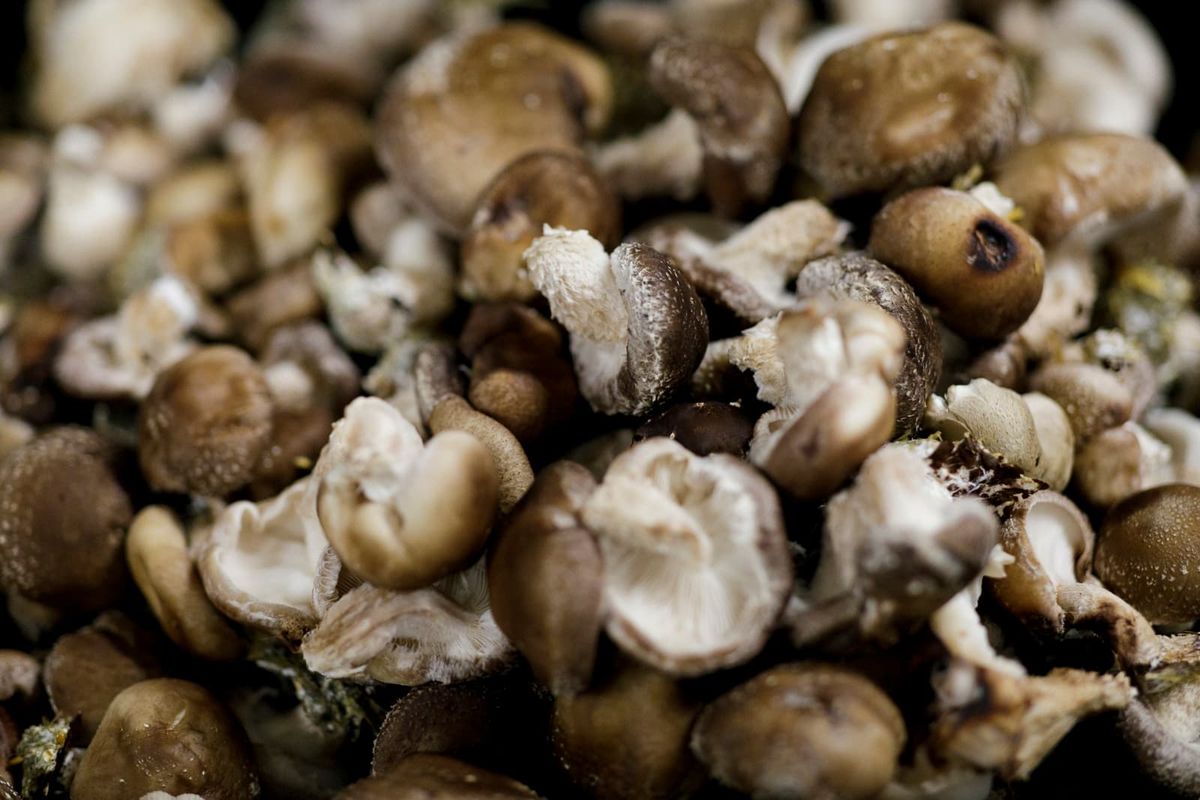 Espace de coworking Farm à Paris - photo 2